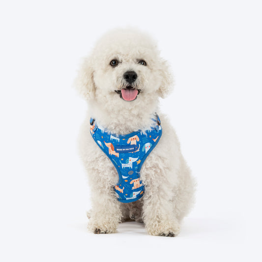 HUFT Twinkle Tails Adjustable Harness For Dog - Blue