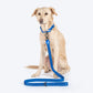 HUFT Comfort Plus Leash For Dog - Blue