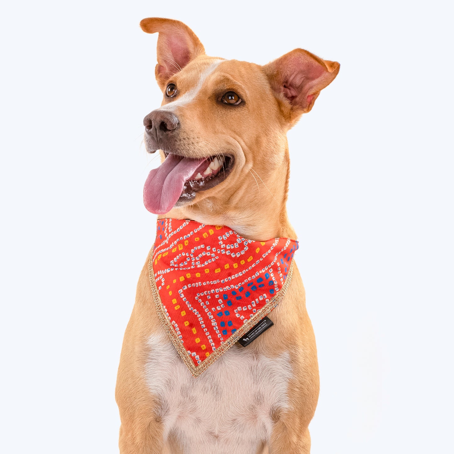 HUFT Festive Bandhej Bling Dog Bandana - Orange - Heads Up For Tails