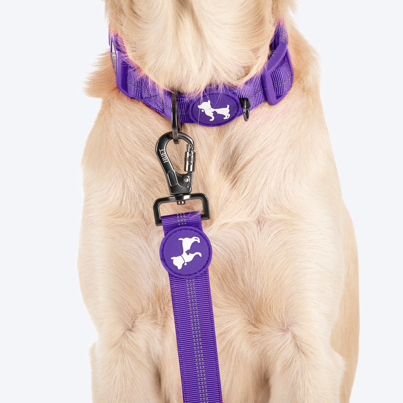 HUFT Comfort Plus Leash For Dog - Purple - Heads Up For Tails