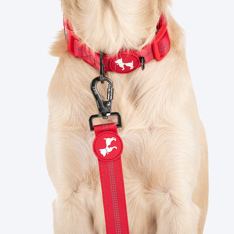 HUFT Comfort Plus Leash For Dog - Red - Heads Up For Tails