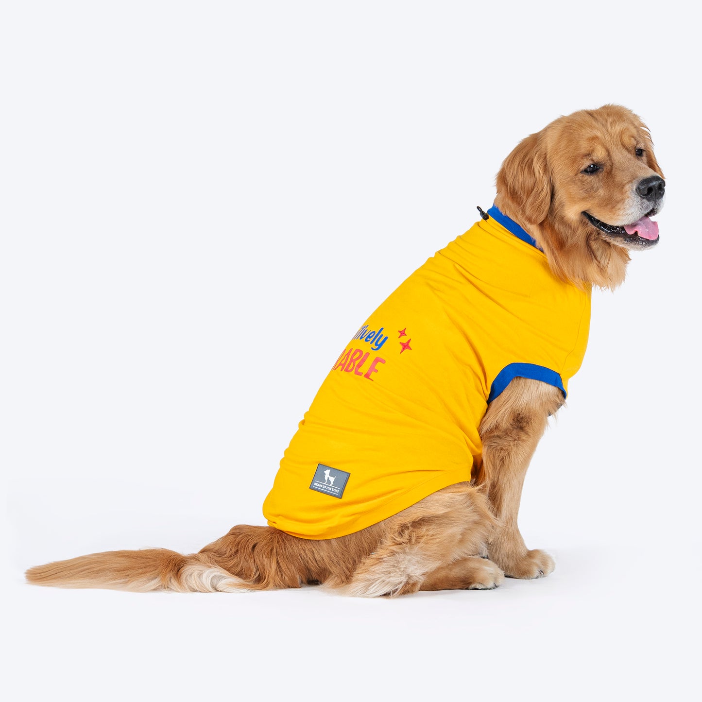 HUFT Pawsitively Adorable T-Shirt For Dogs - Yellow - Heads Up For Tails