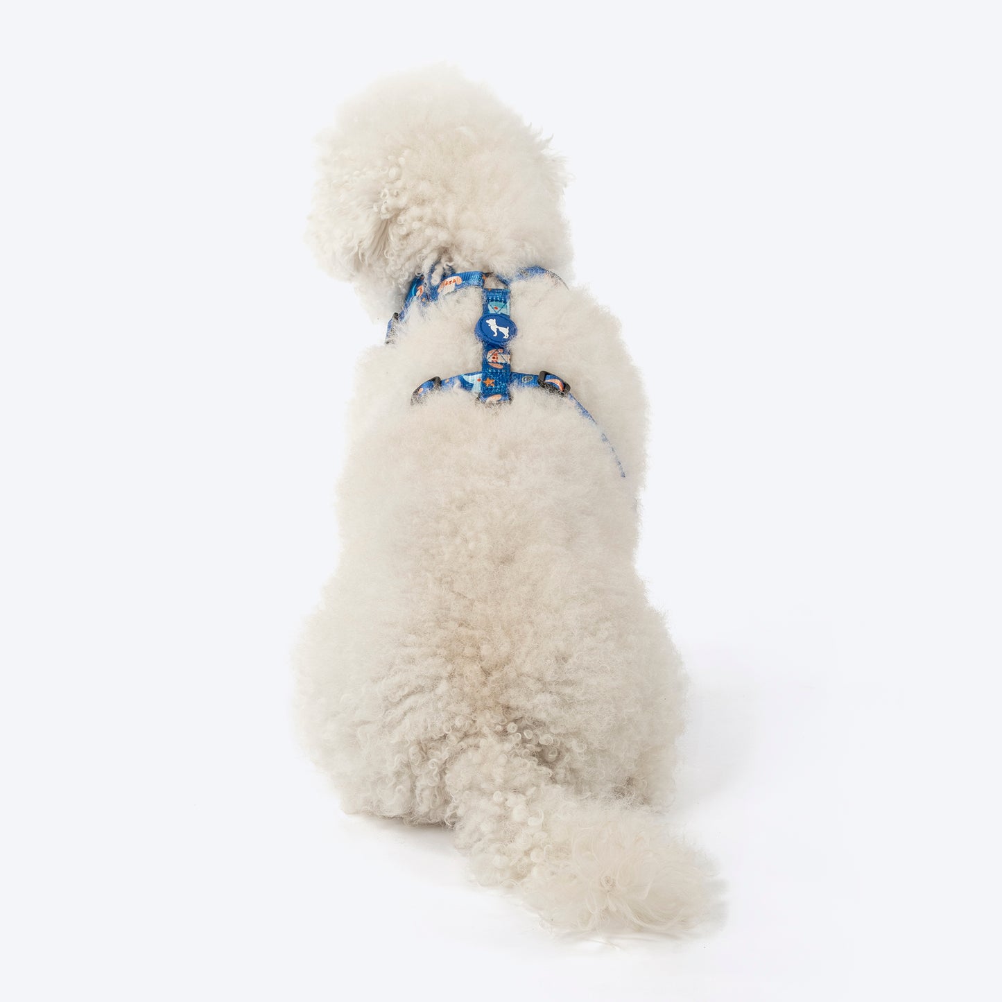 HUFT Twinkle Tails Adjustable Harness For Dog - Blue