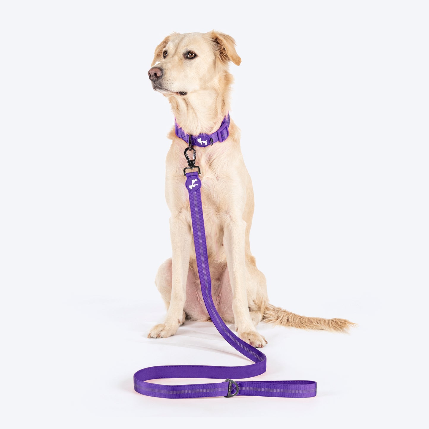 HUFT Comfort Plus Leash For Dog - Purple