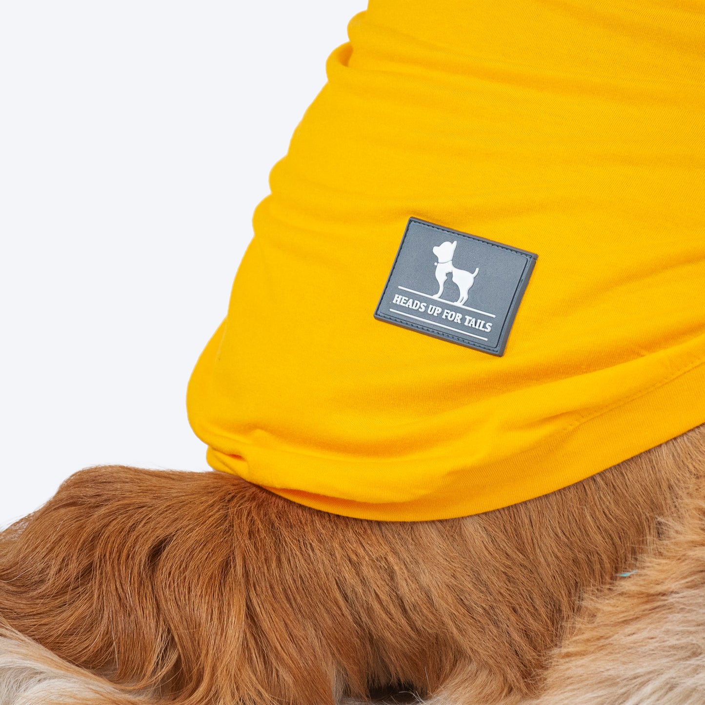 HUFT Pawsitively Adorable T-Shirt For Dogs - Yellow - Heads Up For Tails