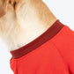 HUFT Woof Squad Sweatshirt For Dog - Red