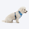 HUFT Twinkle Tails Adjustable Harness For Dog - Blue - Heads Up For Tails