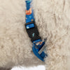 HUFT Twinkle Tails Adjustable Harness For Dog - Blue - Heads Up For Tails