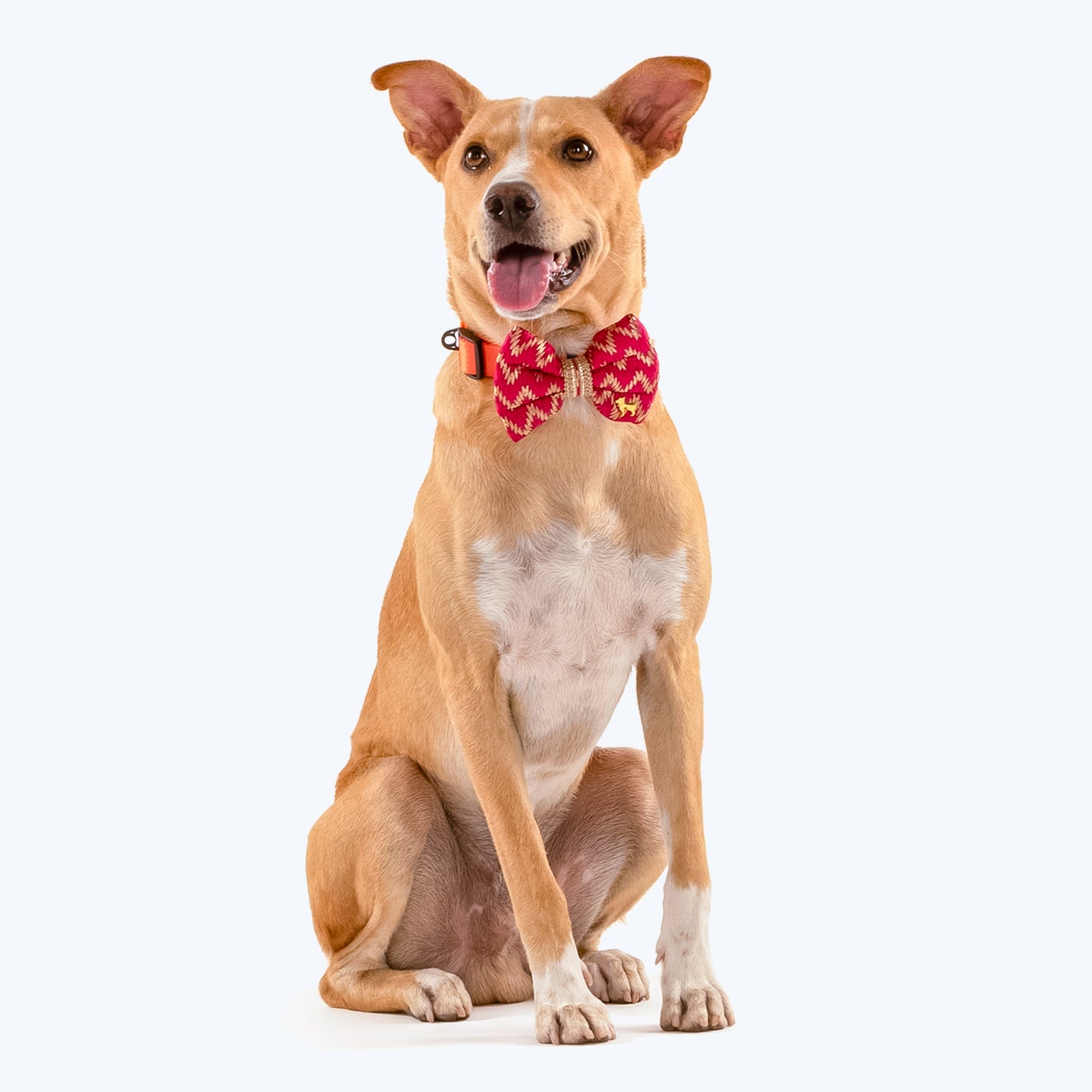 HUFT Festive Desi Glam Dog Bow Tie - Royal Pink - Heads Up For Tails