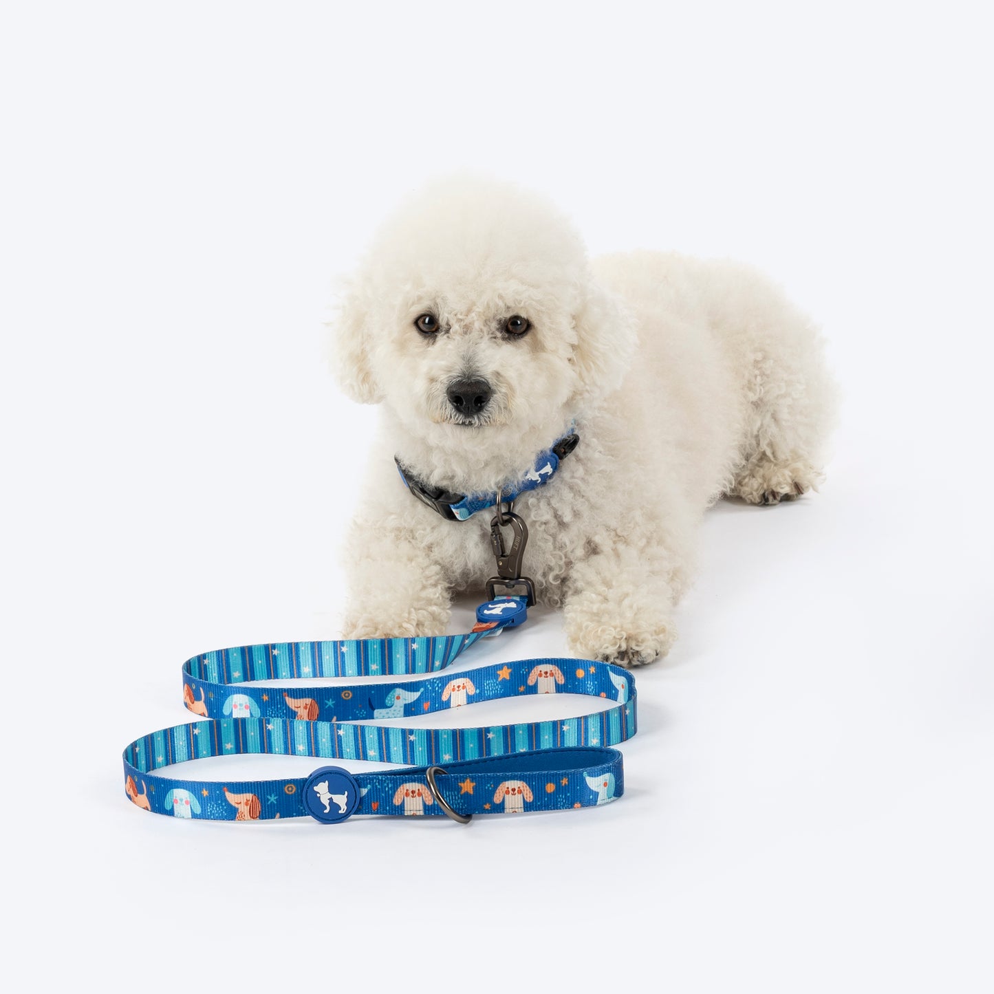 HUFT Twinkle Tails Leash For Dog - Blue