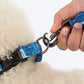 HUFT Twinkle Tails Leash For Dog - Blue