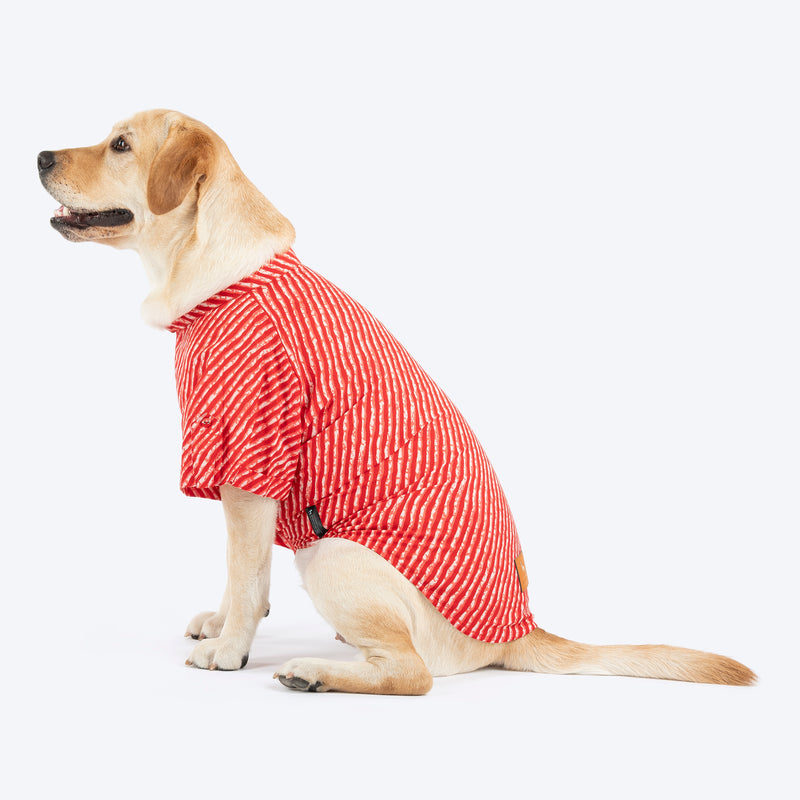 HUFT Pawdhani Leheriya Kurta For Dog - Red - Heads Up For Tails