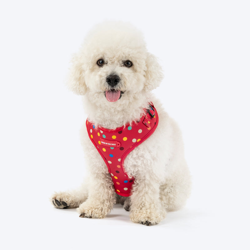 HUFT Polka Play Adjustable Harness For Dog - Red - Heads Up For Tails