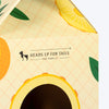 HUFT Kitty Carton Scratcher For Cat – Multicolor