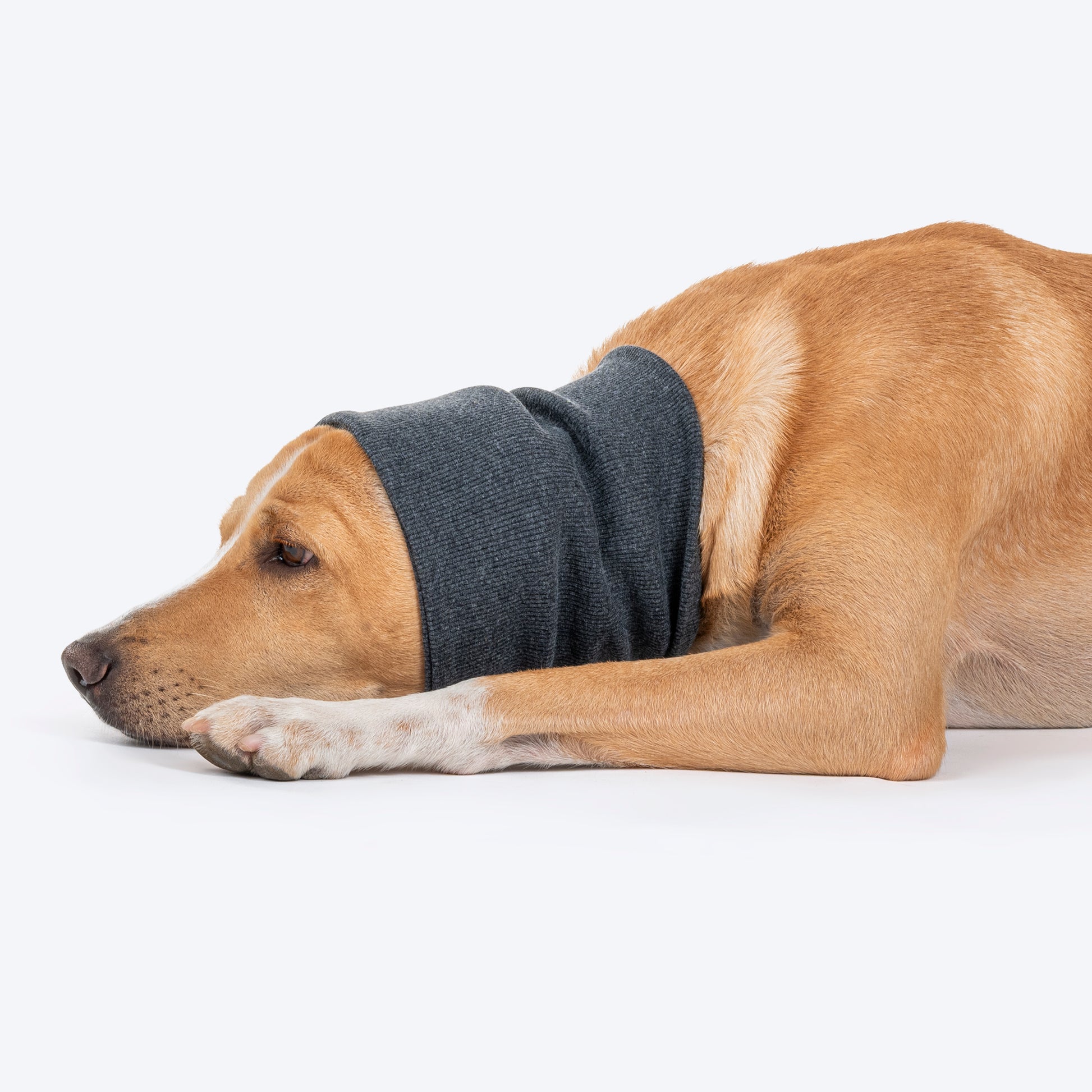 HUFT Noise-Out Hoodies - Doggie Ear Muffs - Dark Grey Milange - Heads Up For Tails