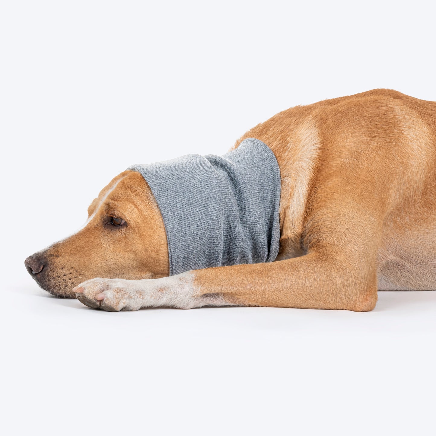 HUFT Noise-Out Hoodies - Doggie Ear Muffs - Light Grey - Heads Up For Tails