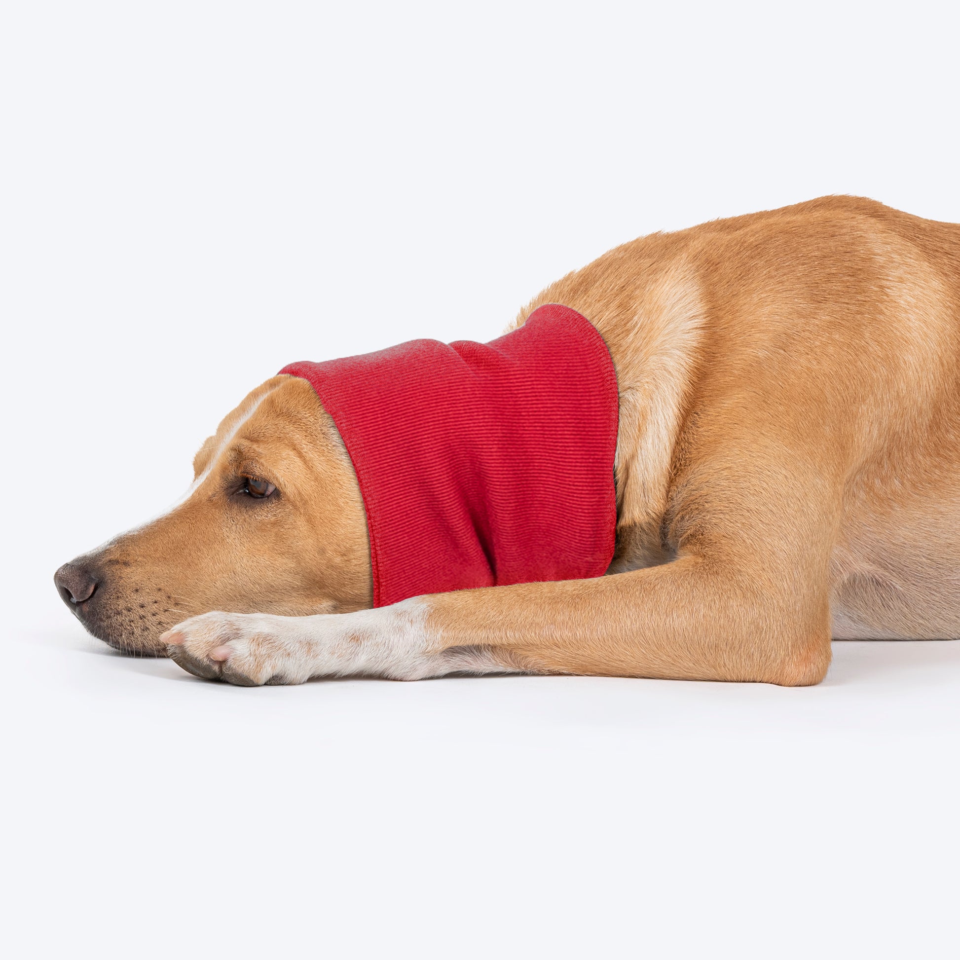 HUFT Noise-Out Hoodies - Doggie Ear Muffs - Red_02