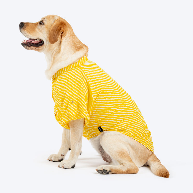 HUFT Pawdhani Leheriya Kurta For Dog - Yellow - Heads Up For Tails