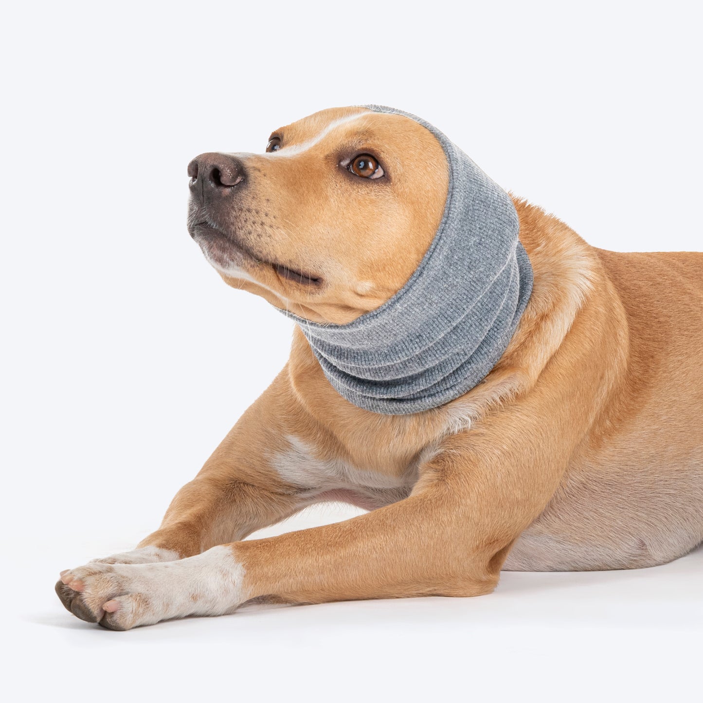 HUFT Noise-Out Hoodies - Doggie Ear Muffs - Light Grey - Heads Up For Tails