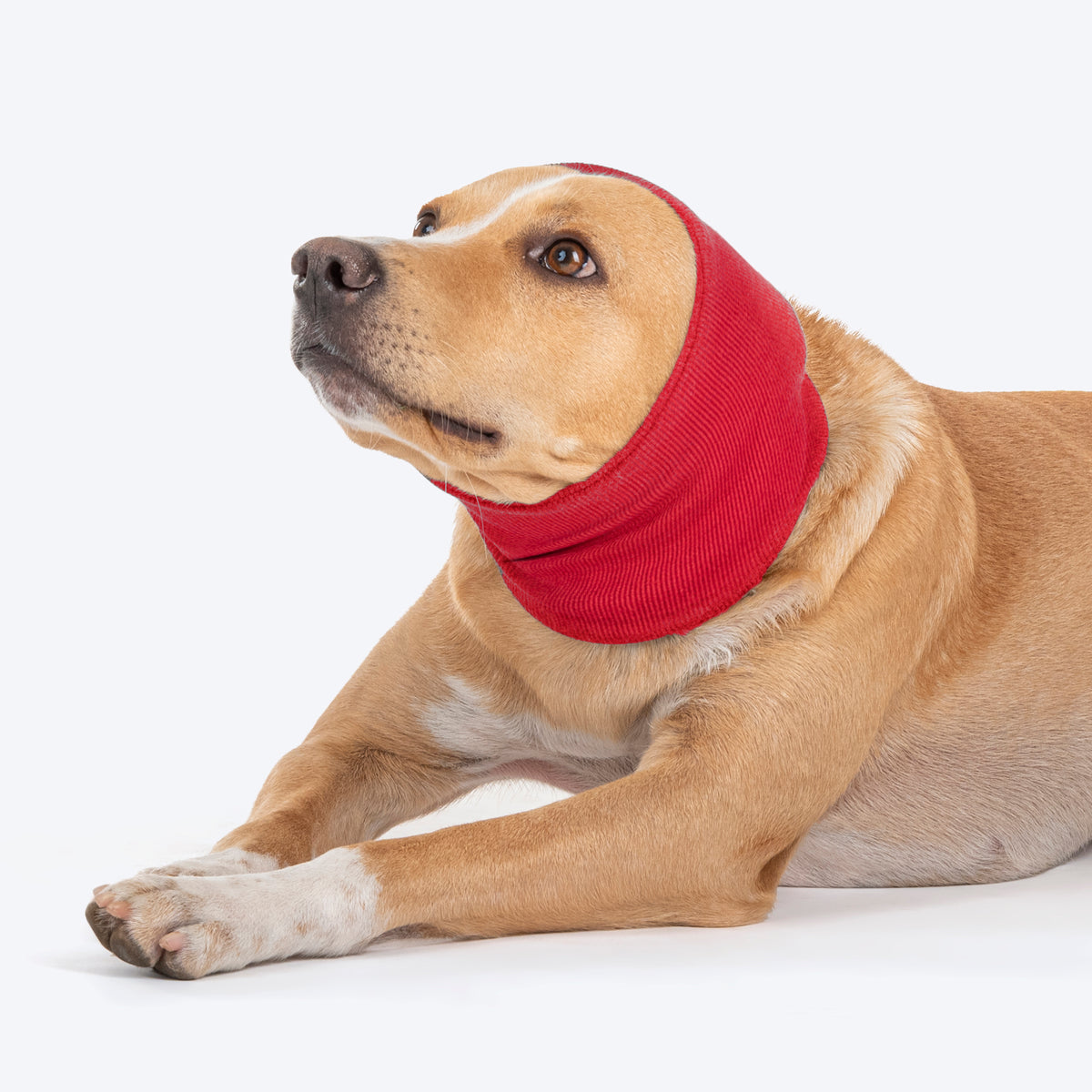 HUFT Noise-Out Hoodies - Doggie Ear Muffs - Red