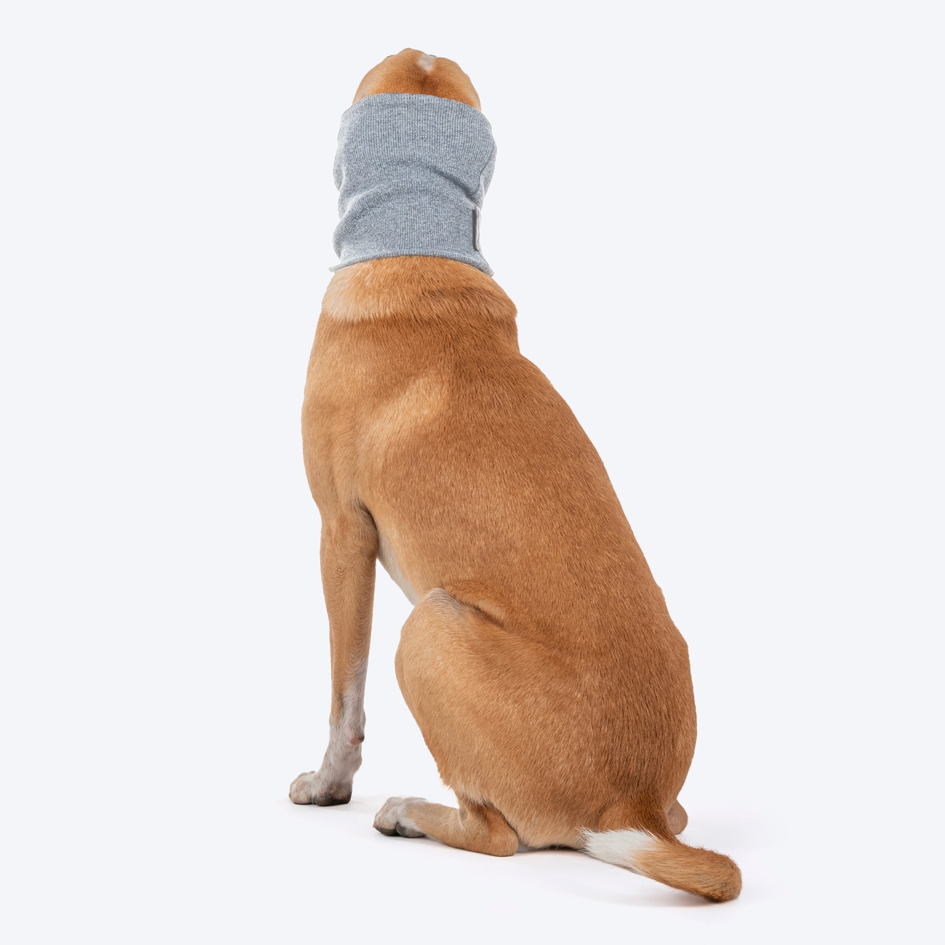 HUFT Noise-Out Hoodies - Doggie Ear Muffs - Light Grey - Heads Up For Tails
