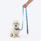 HUFT Twinkle Tails Leash For Dog - Blue