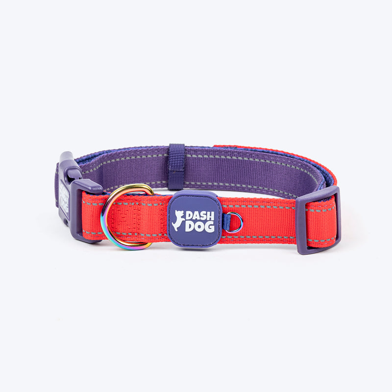 Dash Dog Padded Collar For Dog - Red & Purple