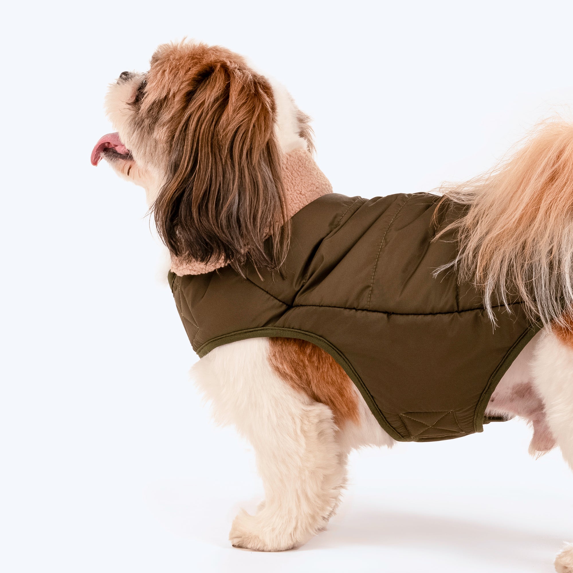 Fur jacket for clearance dog