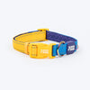 Dash Dog Padded Collar For Dog - Royal Blue & Yellow