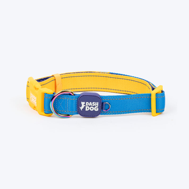Dash Dog Padded Collar For Dog - Royal Blue & Yellow