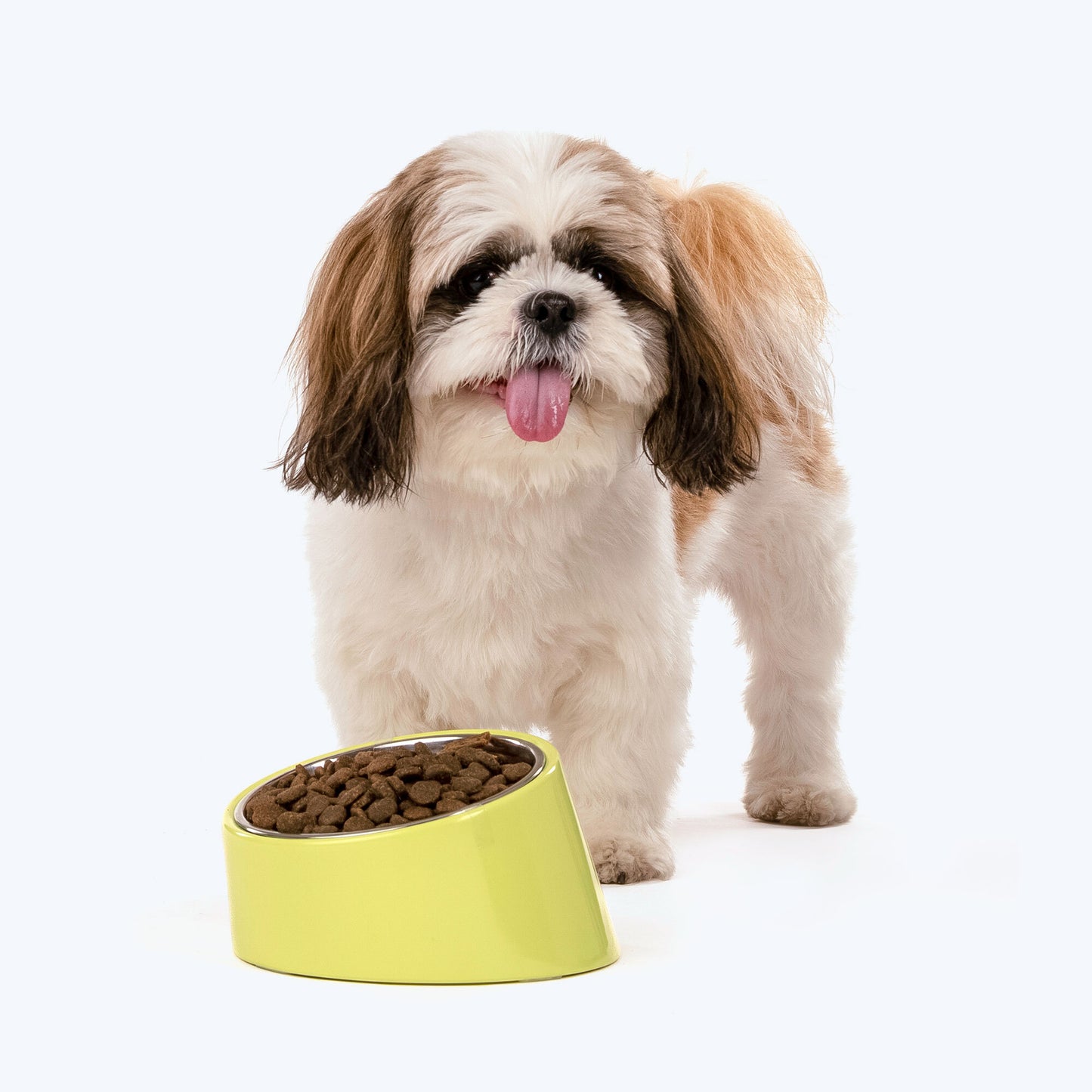 HUFT Slant Melamine Bowl For Pets (Neon Green) - Heads Up For Tails