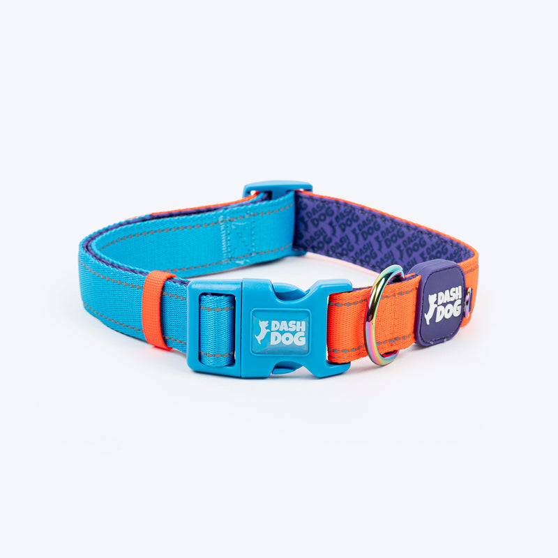 Dash Dog Padded Collar For Dog - Blue & Orange