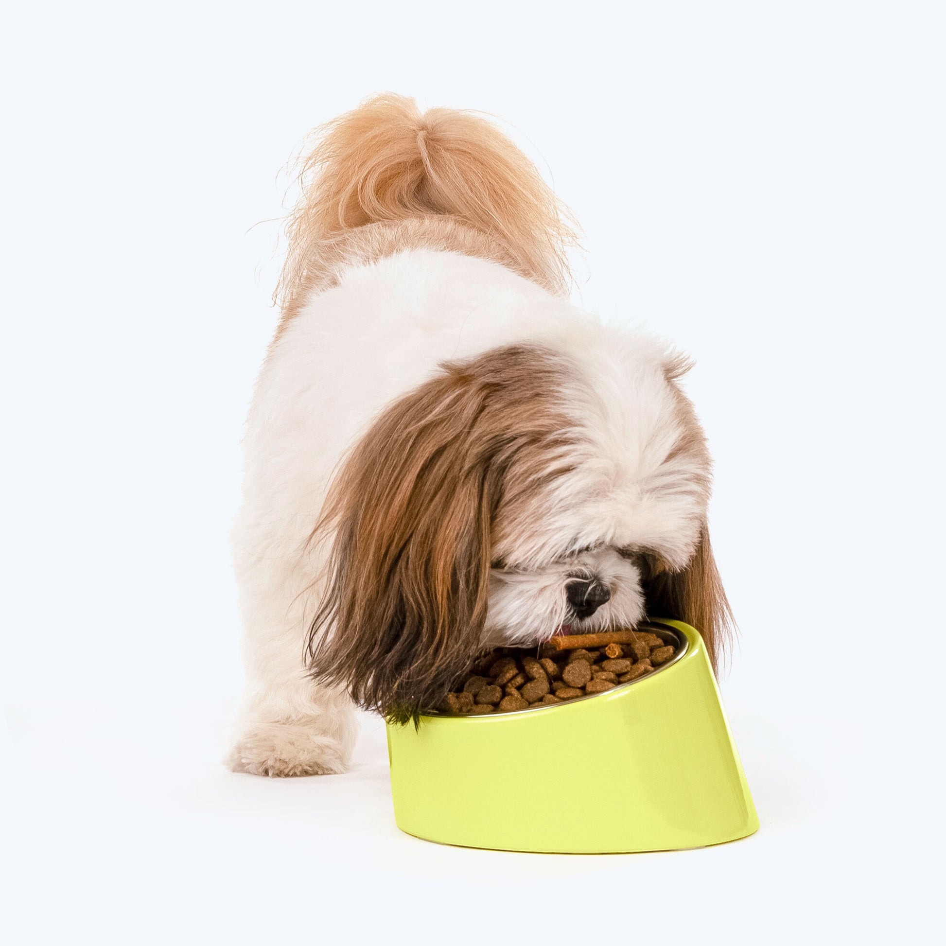 HUFT Slant Melamine Bowl For Pets (Neon Green) - Heads Up For Tails