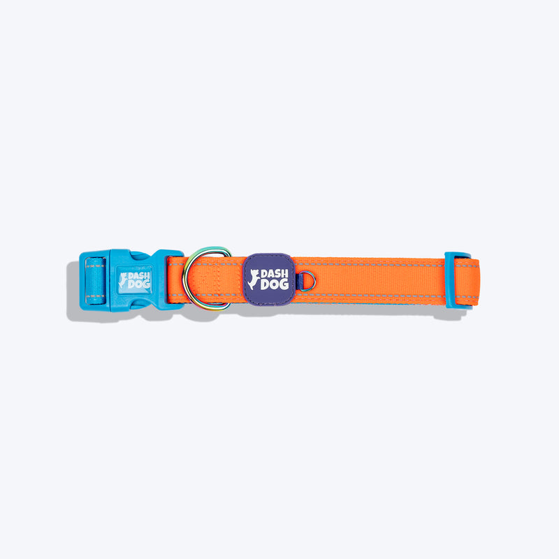 Dash Dog Padded Collar For Dog - Blue & Orange