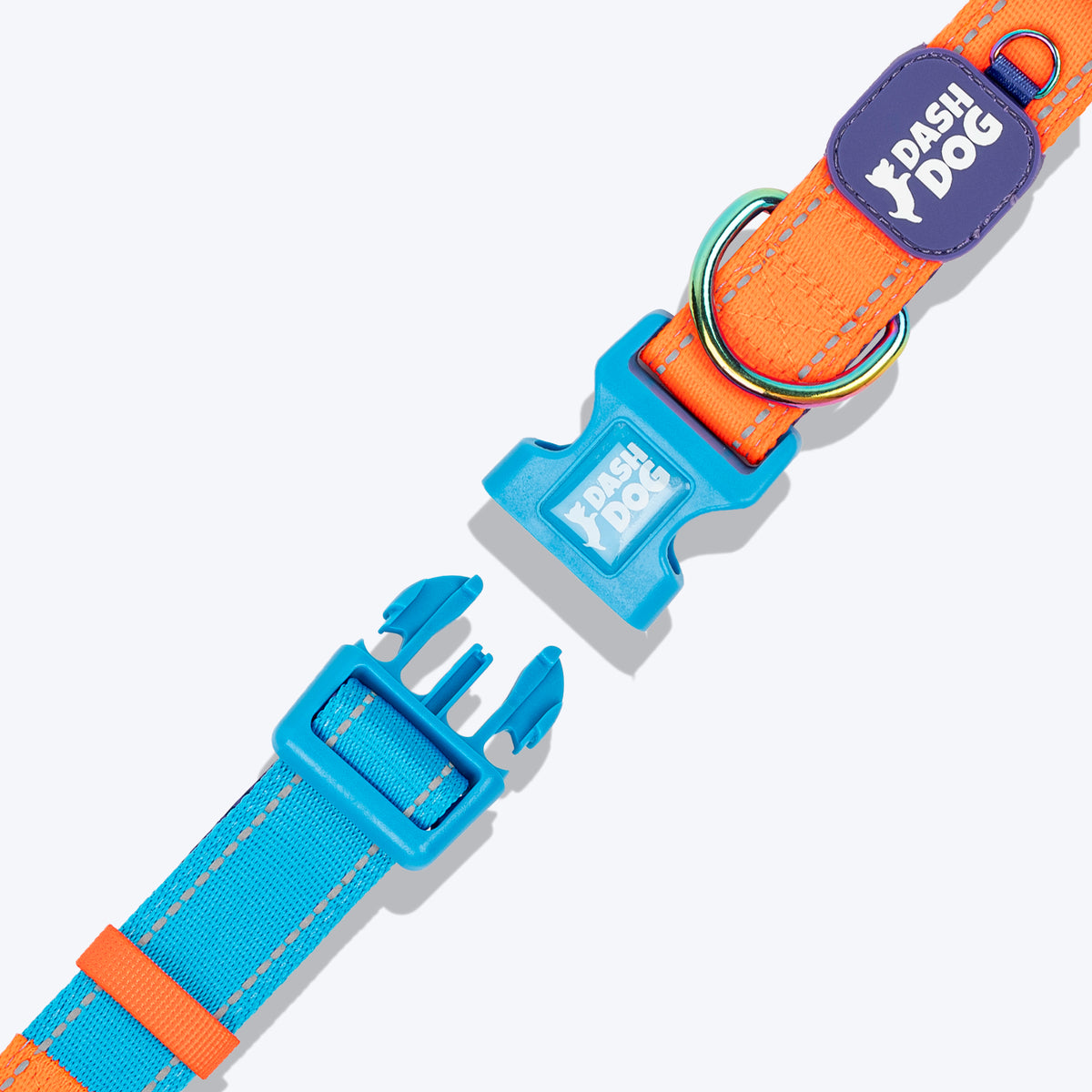 Dash Dog Padded Collar For Dog - Blue & Orange