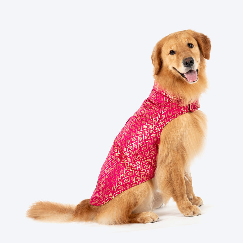 HUFT Petals & Pyaar Brocade Sherwani For Dog - Rani Pink - Heads Up For Tails