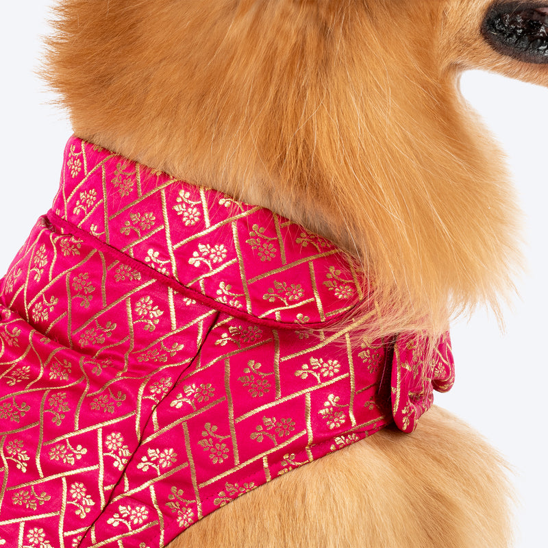 HUFT Petals & Pyaar Brocade Sherwani For Dog - Rani Pink - Heads Up For Tails