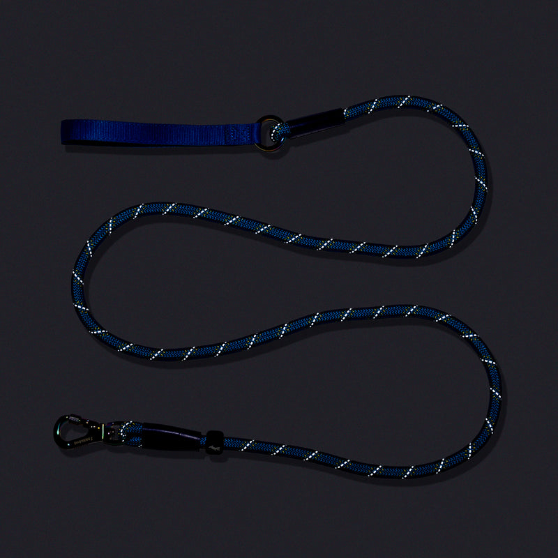 Dash Dog Chaser Rope Leash For Dog - Royal Blue