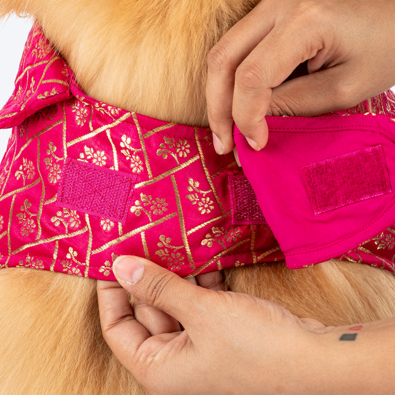 HUFT Petals & Pyaar Brocade Sherwani For Dog - Rani Pink - Heads Up For Tails