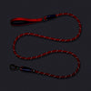 Dash Dog Chaser Rope Leash For Dog - Red