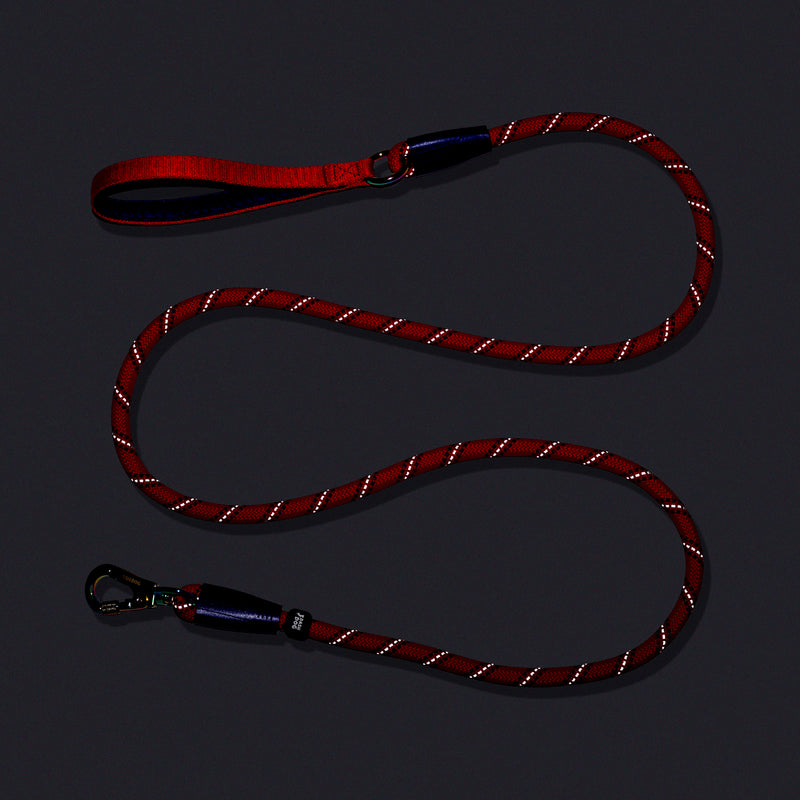 Dash Dog Chaser Rope Leash For Dog - Red
