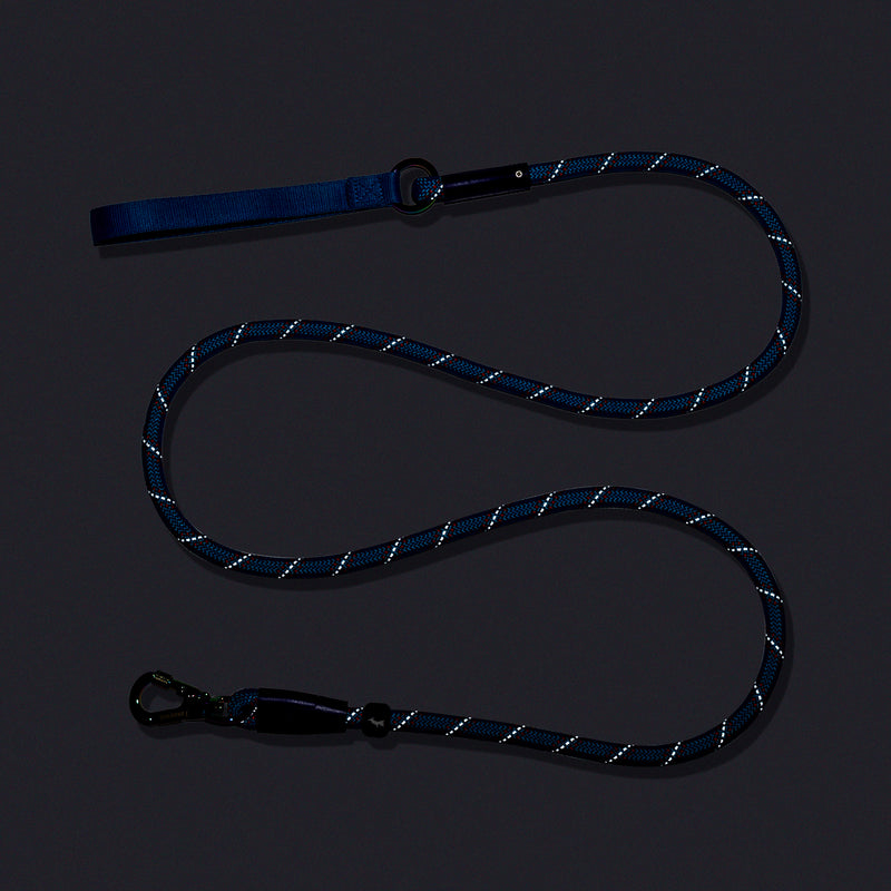 Dash Dog Chaser Rope Leash For Dog - Blue