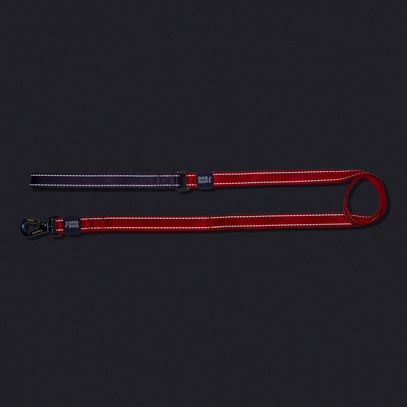 Dash Dog Dual Handle Leash For Dog - Red & Purple