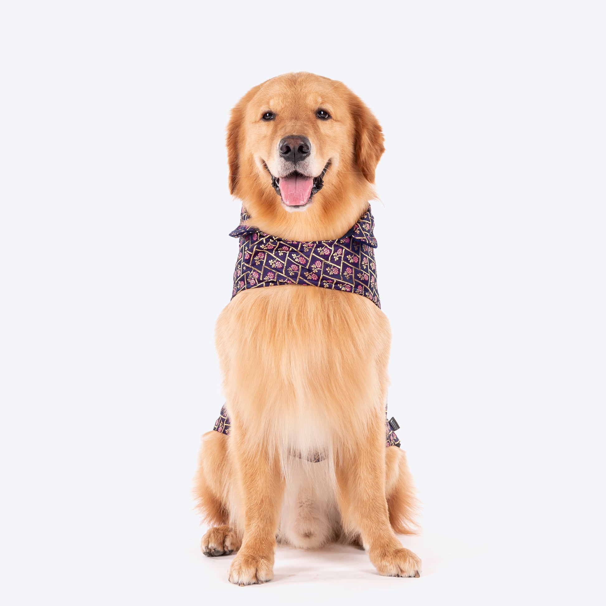 HUFT Petals & Pyaar Brocade Sherwani For Dog - Navy Blue - Heads Up For Tails
