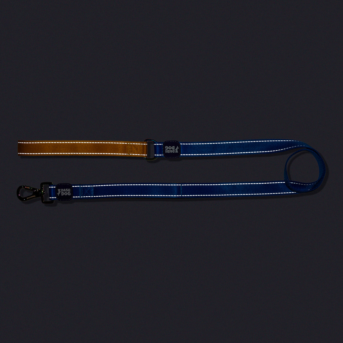 Dash Dog Dual Handle Leash For Dog - Royal Blue & Yellow