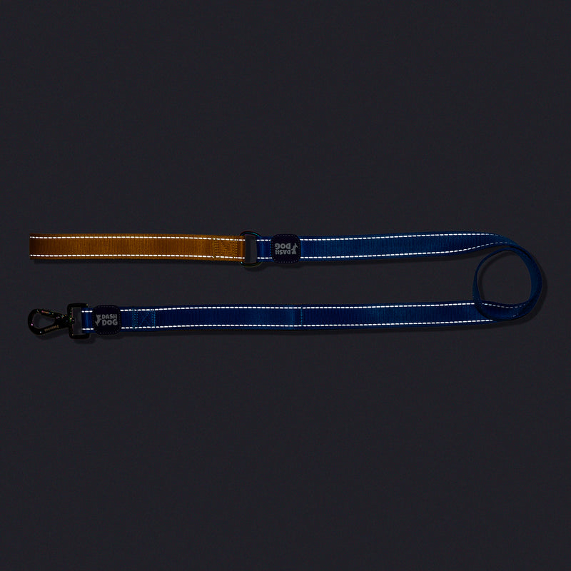 Dash Dog Dual Handle Leash For Dog - Royal Blue & Yellow