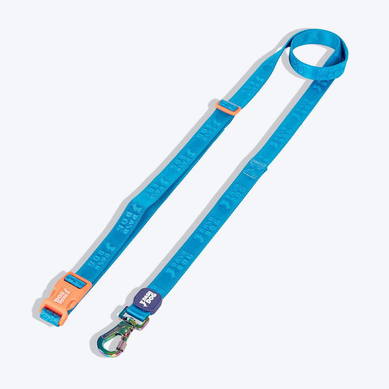 Dash Dog Trailmate Multipurpose Leash For Dog - Blue