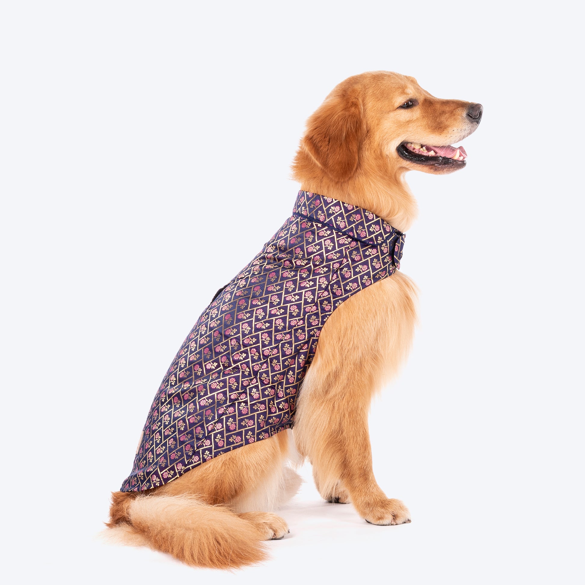 HUFT Petals & Pyaar Brocade Sherwani For Dog - Navy Blue - Heads Up For Tails