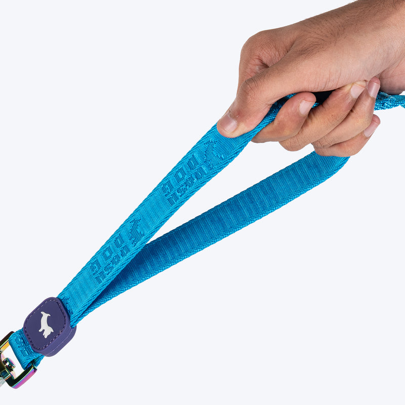 Dash Dog Trailmate Multipurpose Leash For Dog - Blue