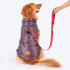 HUFT Petals & Pyaar Brocade Sherwani For Dog - Navy Blue - Heads Up For Tails